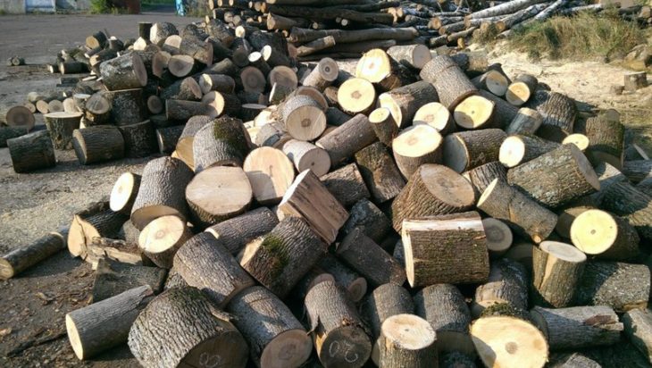 Українцям розповіли, які дрова не варто купувати: горять швидко, а гріють мало