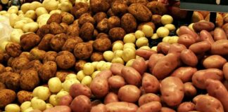 В Украине стали расти цены на картофель  - today.ua
