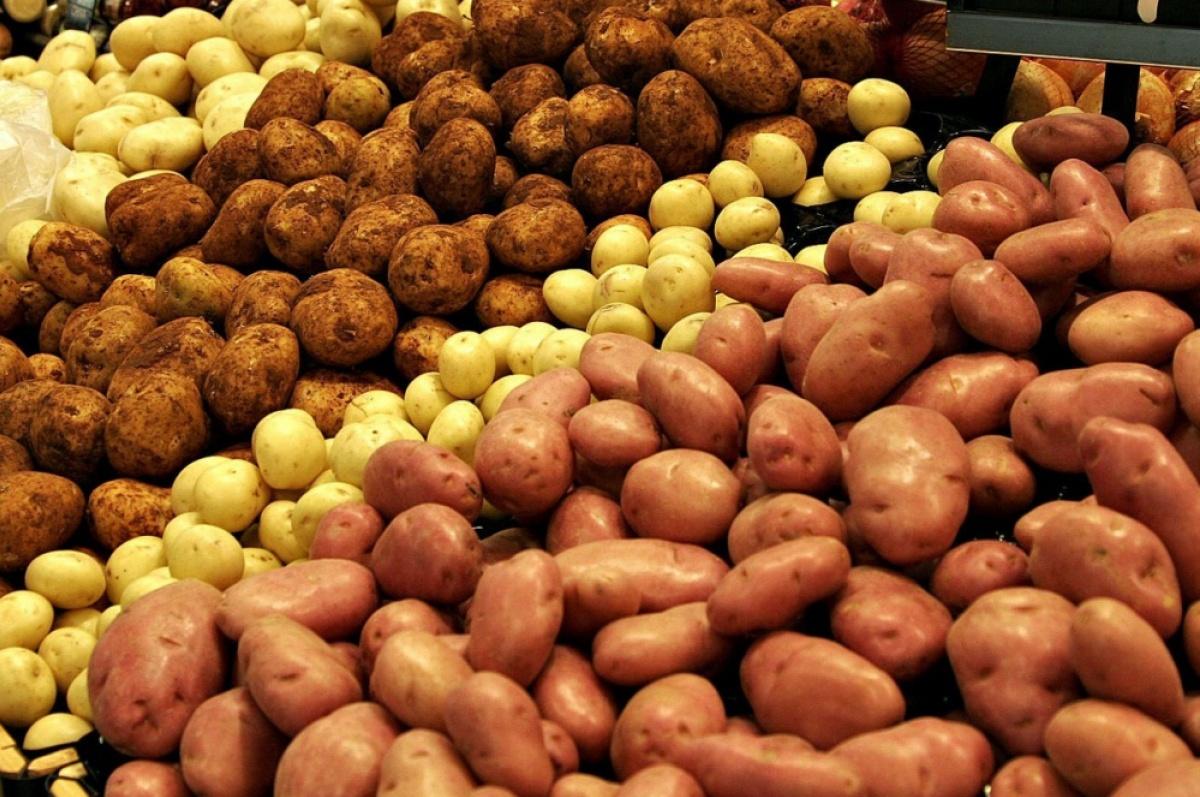 В Украине начал дорожать картофель