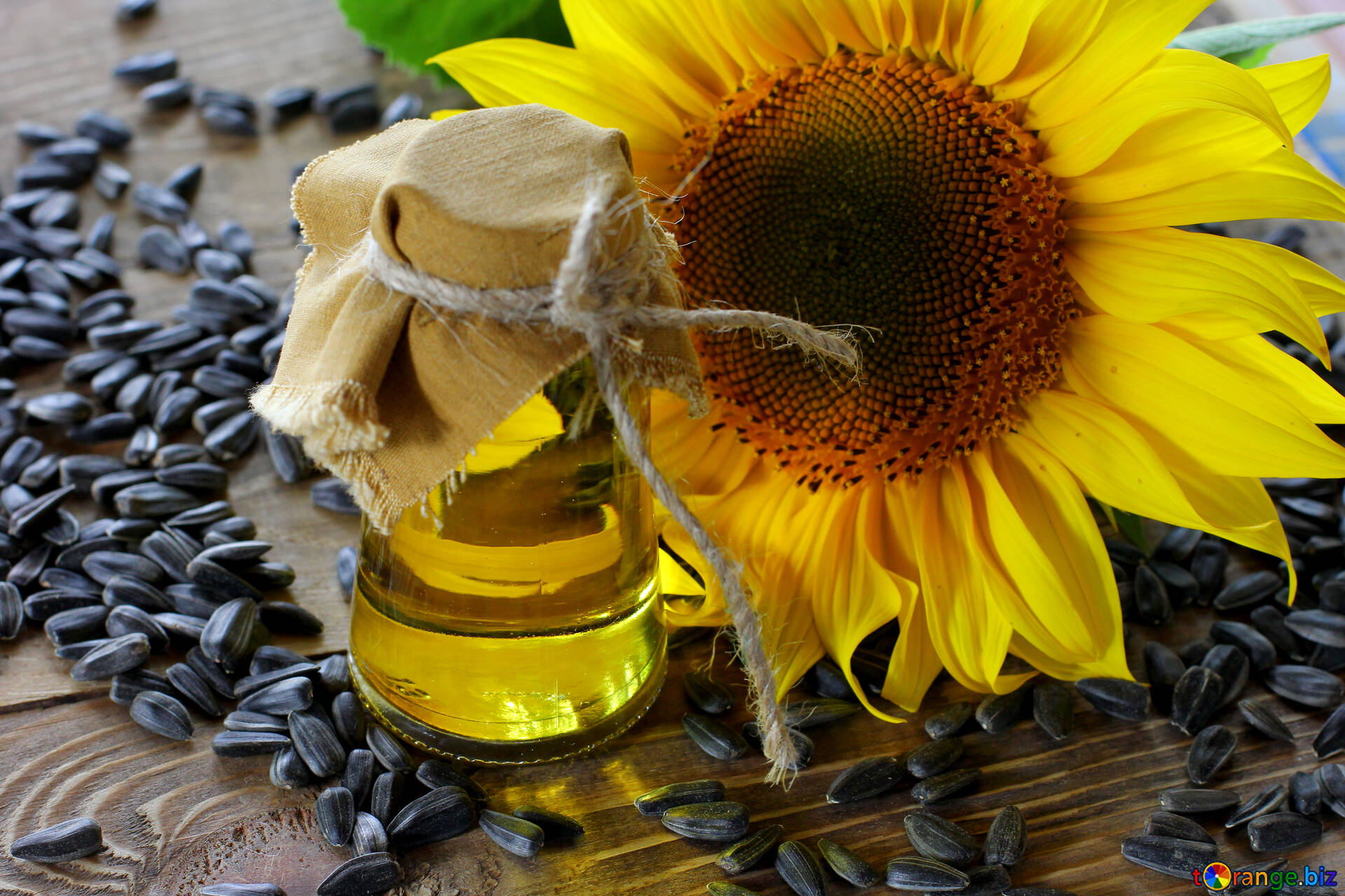 В Украине будет жесткий дефицит подсолнечного масла: производители заявляют об остановке заводов