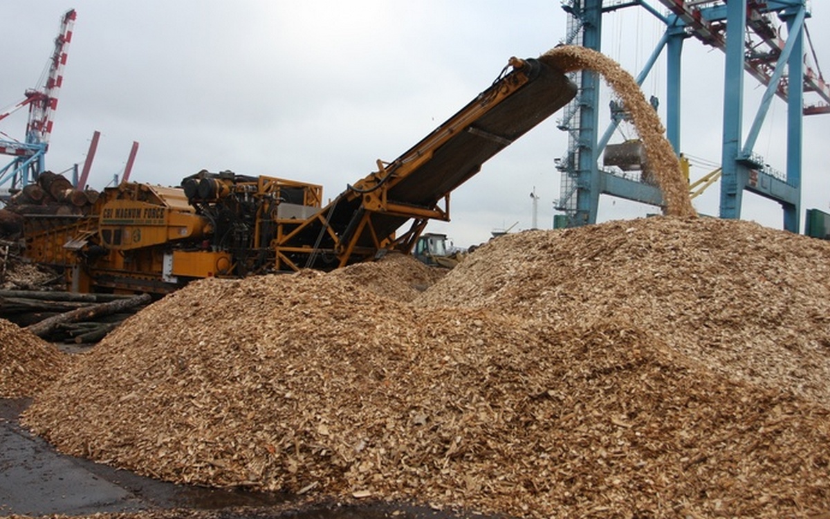 Украинцам заменят дорогой газ на пеллеты и щепу: специалисты подсчитали, будет ли это выгодно