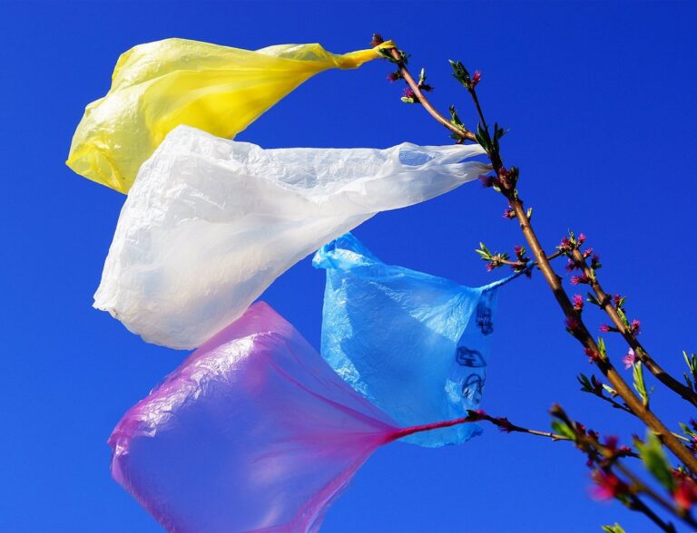 В Украине после 8 марта исчезнут из магазинов популярные пластиковые пакеты: в Минприроды объяснили причину - today.ua