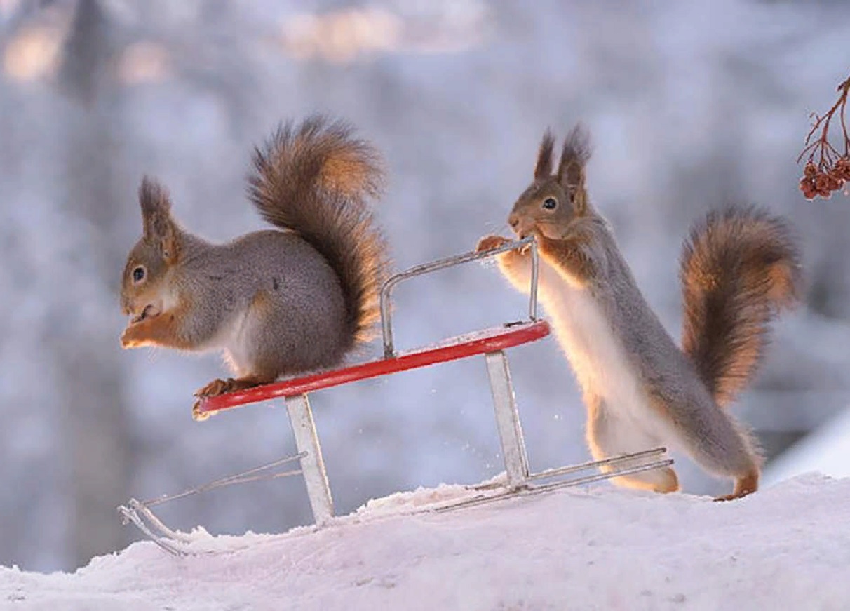 В Украине потеплеет до +11 и вернутся дожди: прогноз погоды на выходные для всех регионов страны