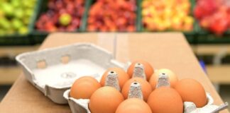 Стоимость куриных яиц в Украине снижается: как изменились цены на популярный продукт в феврале - today.ua