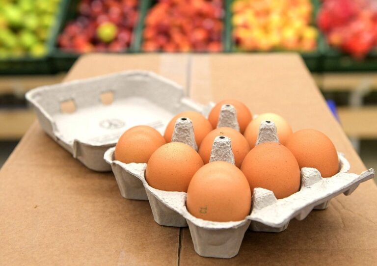 Стоимость куриных яиц в Украине снижается: как изменились цены на популярный продукт в феврале - today.ua
