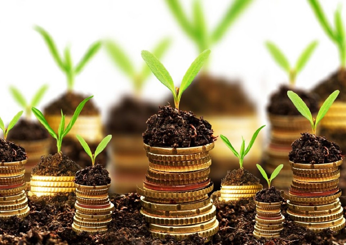 Рынок земли в Украине: названы регионы с самыми высокими ценами на сельскохозяйственные участки - today.ua