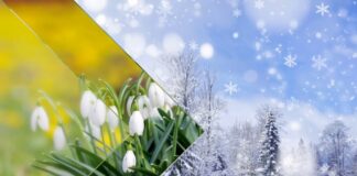 Весна почнеться раптово: кліматологи здивували українців прогнозом погоди на березень, квітень та травень - today.ua