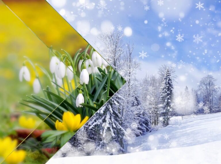 Весна начнется внезапно: климатологи удивили украинцев прогнозом погоды на март, апрель и май - today.ua