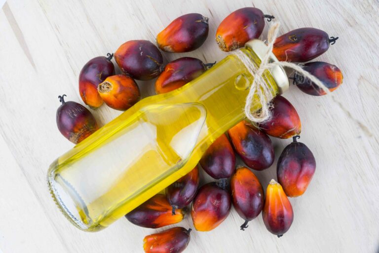 Какое растительное масло повышает холестерин в крови и вредит здоровью - today.ua