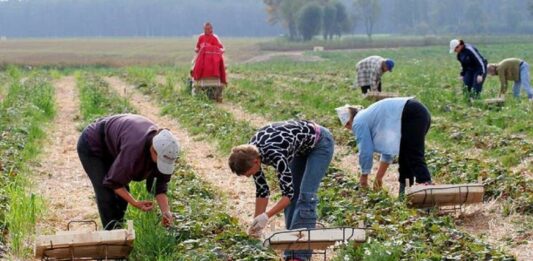 Фермерів в Україні звільнили від сплати податків на прибуток: кому з виробників пощастило - today.ua