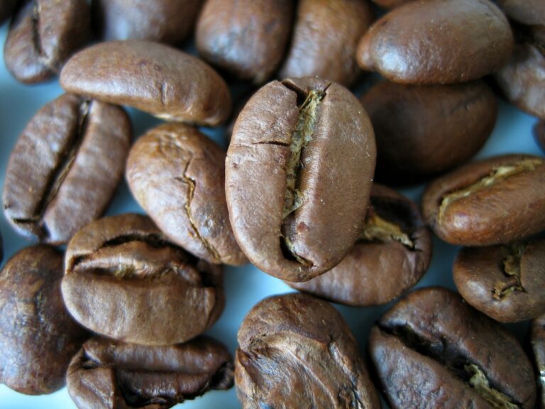 Як відрізнити натуральну каву від фальсифікату: головні ознаки якісного напою - today.ua