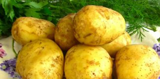 Цены на ранние овощи в Украине бьют все рекорды: за сколько продают картофель, редис и капусту на рынках - today.ua