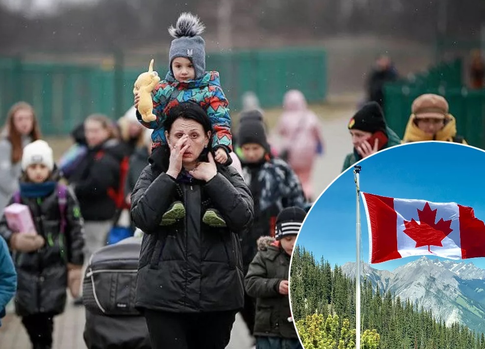 Помощь украинским беженцам в Канаде: как получить разрешение на пребывание и работу