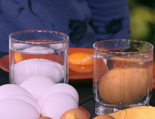 Как хранить яйца без холодильника: два полезных совета