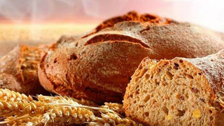 На тлі величезних запасів зерна в Україні знову зросли ціни на хліб - today.ua