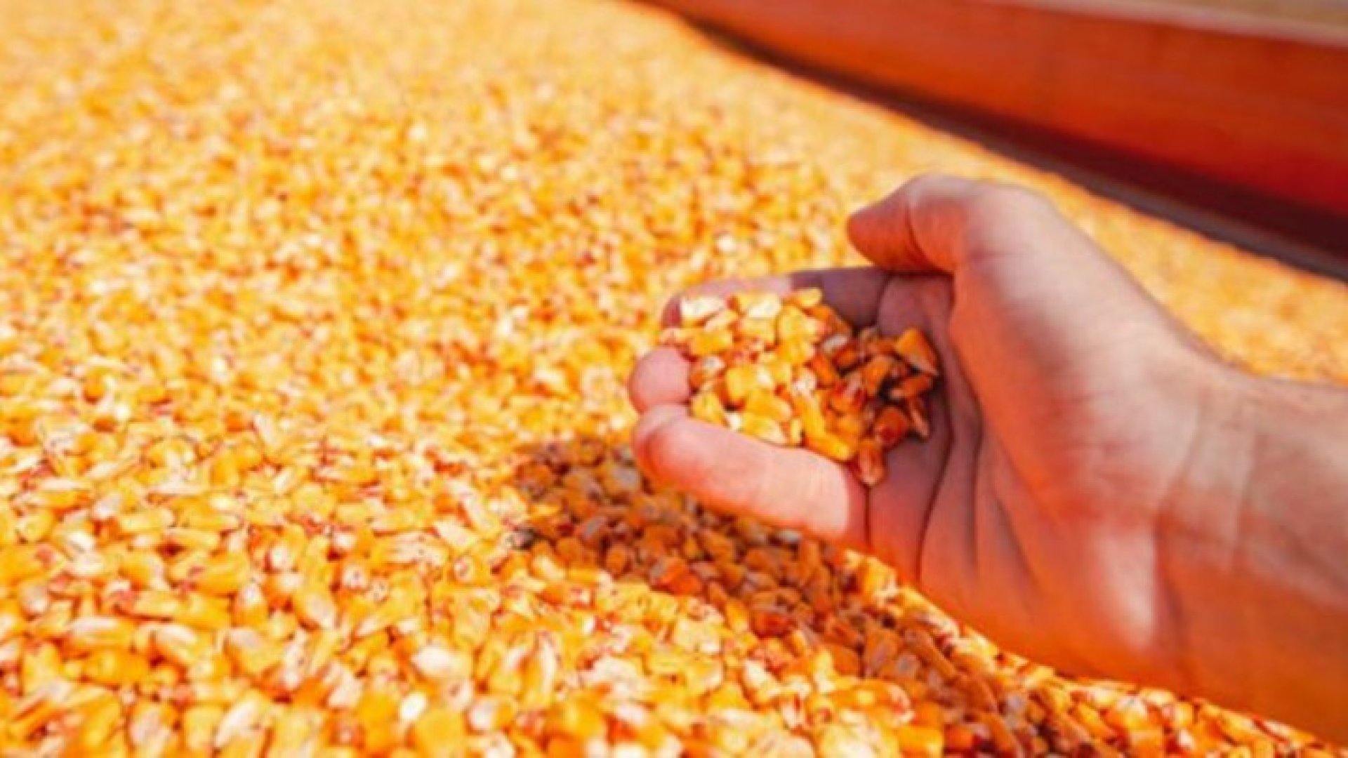 В Минэкономики рассказали, на сколько снизился импорт и экспорт товаров в марте