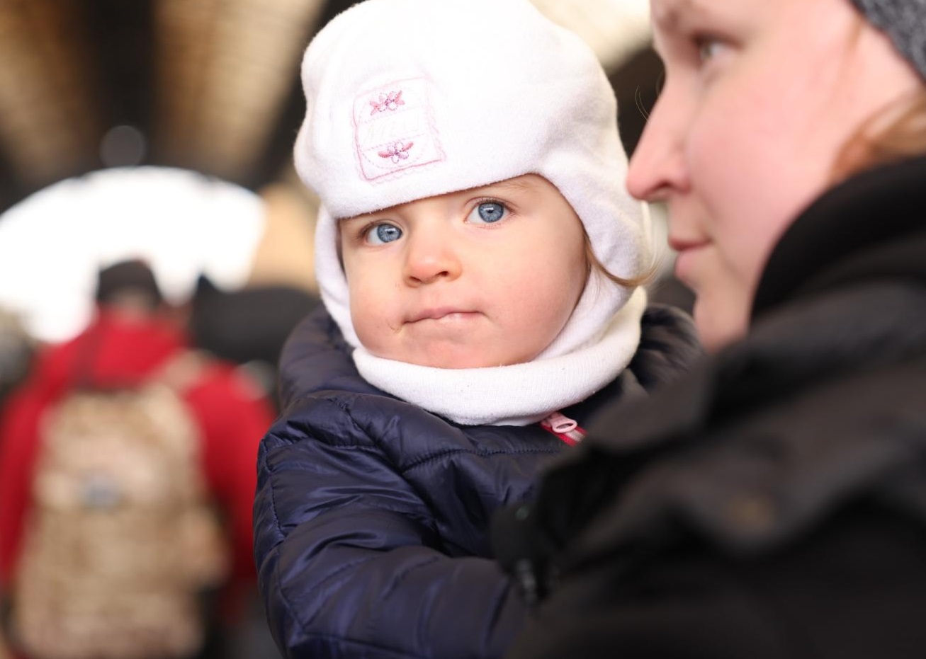 В Украине будут выплачивать пособие для беженцев в размере до 33 000 гривен на три месяца