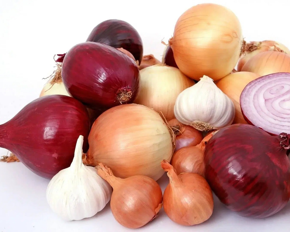 Секреты выращивания репчатого лука на приусадебном участке: как получить обильный урожай
