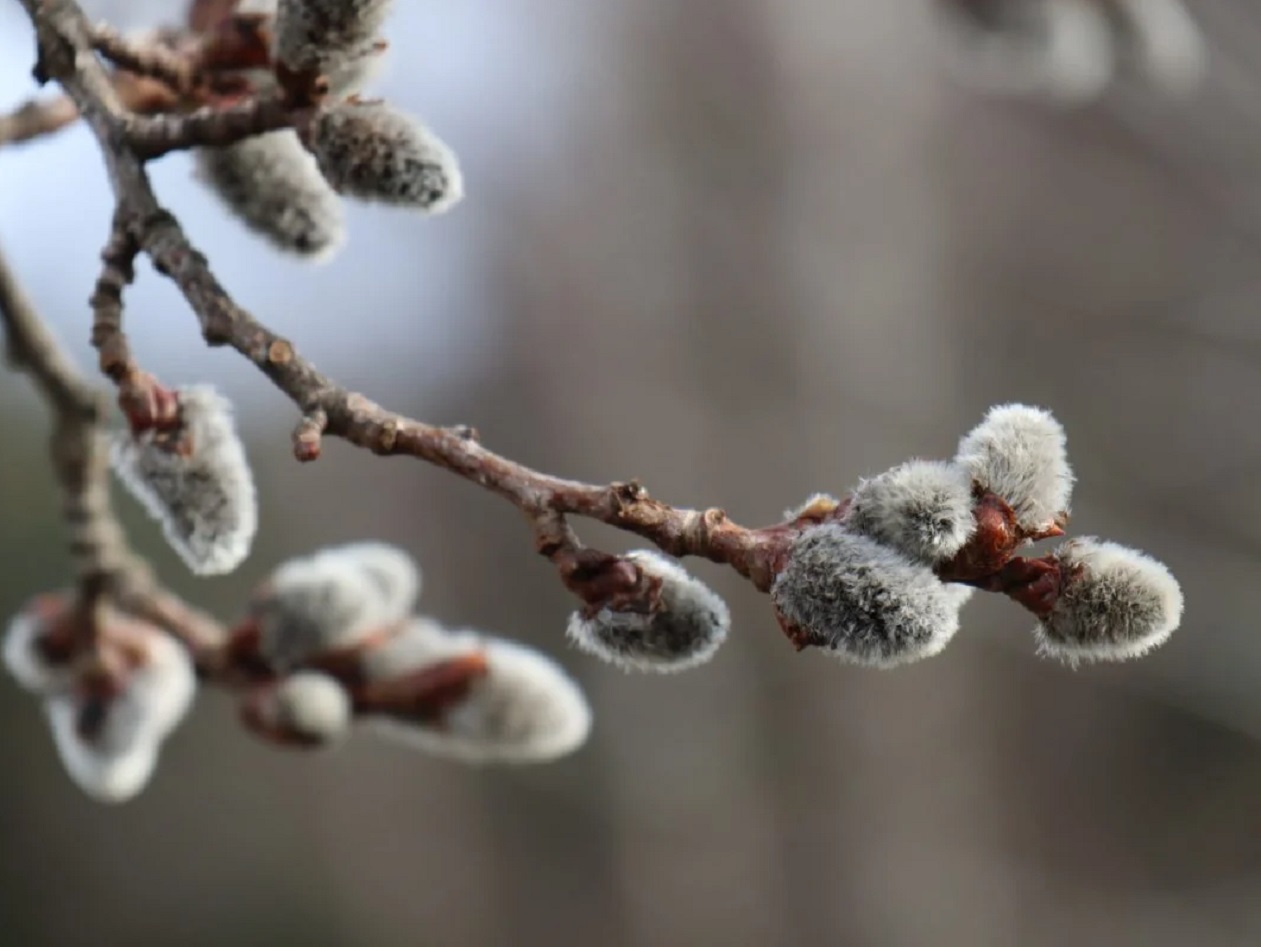 В Украину идёт новая волна похолодания и дожди