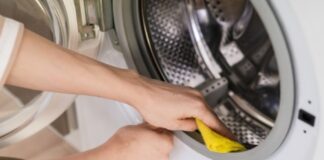Два найефективніші способи очистити пральну машину від запаху цвілі - today.ua
