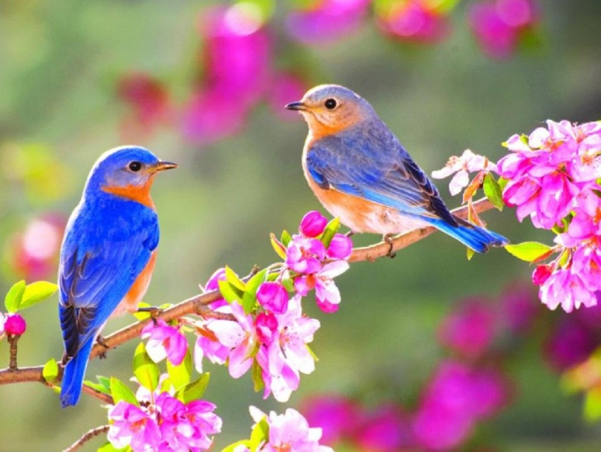 Відбудеться різкий перепад температури повітря: синоптики прогнозують зміну погоди в середині квітня - today.ua