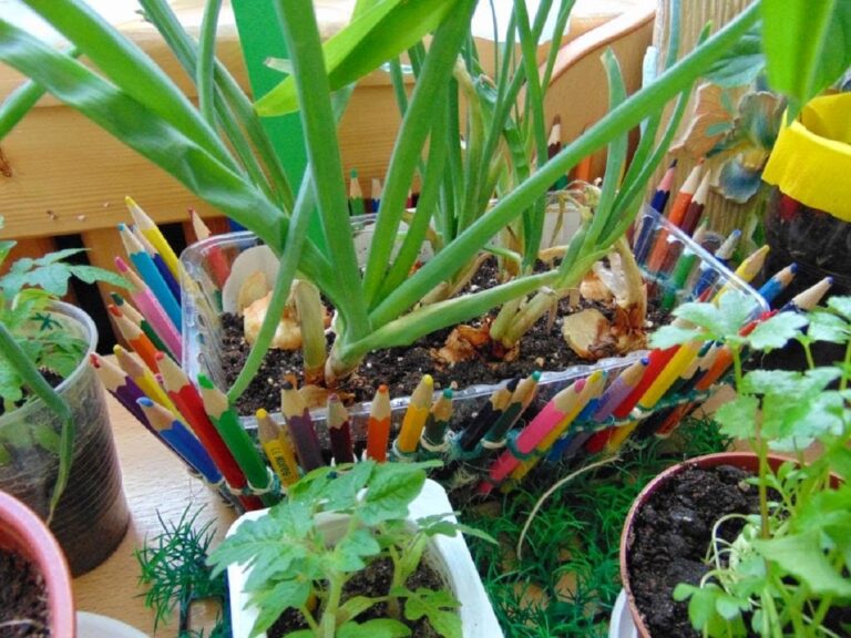 Урожай на подоконнике: семь овощей, которые можно выращивать в квартире - today.ua