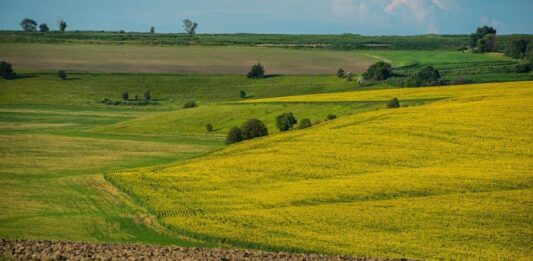 В Україні рекордно злетіли ціни на землю: які області вибилися у лідери - today.ua