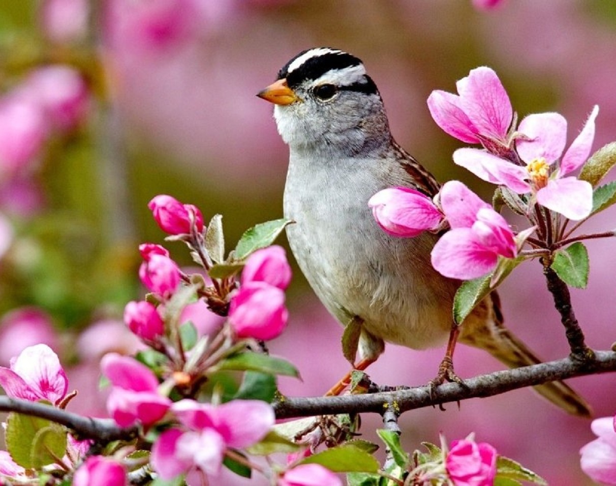 Погода на выходные в Украине: синоптики назвали регионы, в которых ожидаются ночные заморозки