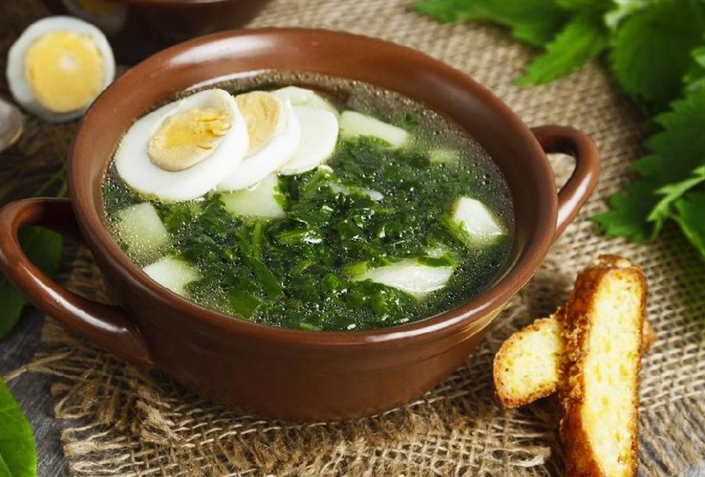 Зеленый борщ с крапивой и яйцом: рецепт полезного и вкусного блюда для всей семьи