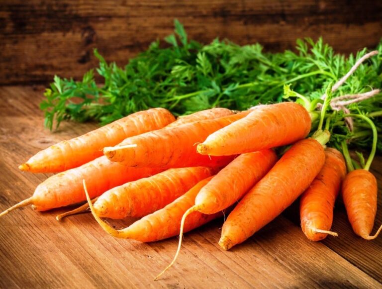 Добриво для моркви: чотири етапи підживлення для отримання добрих урожаїв - today.ua