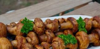 Печериці на багатті або в духовці: рецепт найсмачнішої страви з грибів - today.ua