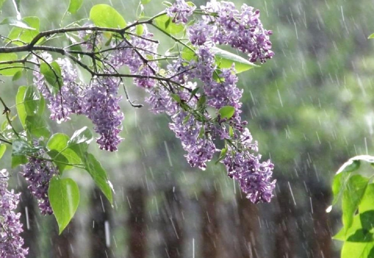 Украину накроют ливни и жара до +28 градусов: прогноз погоды на май