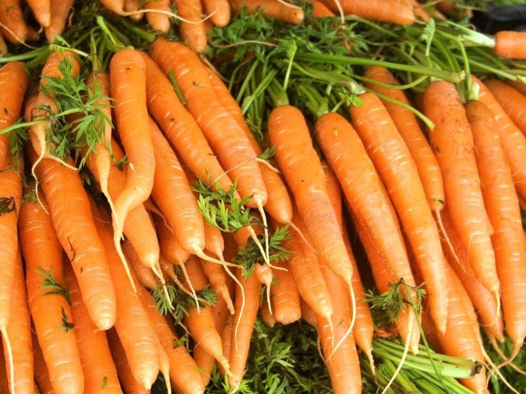 Добриво для моркви: чотири етапи підживлення для отримання добрих урожаїв