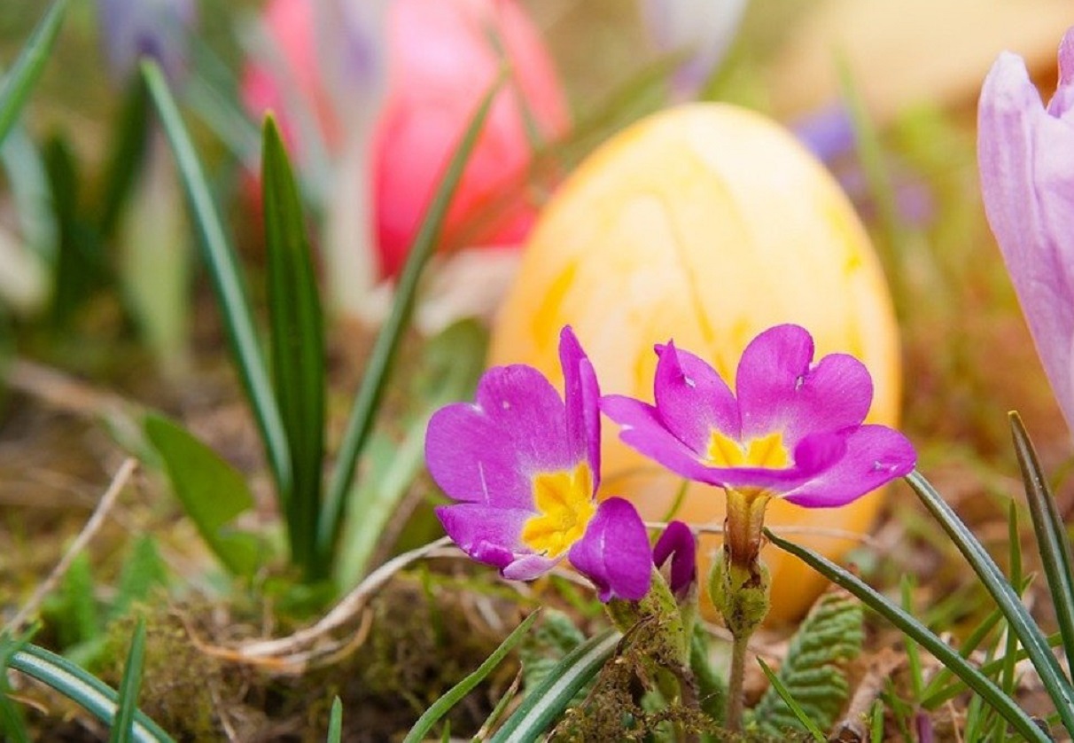 Погода на Великдень в Україні: дощі та грози накриють більшість регіонів країни - today.ua