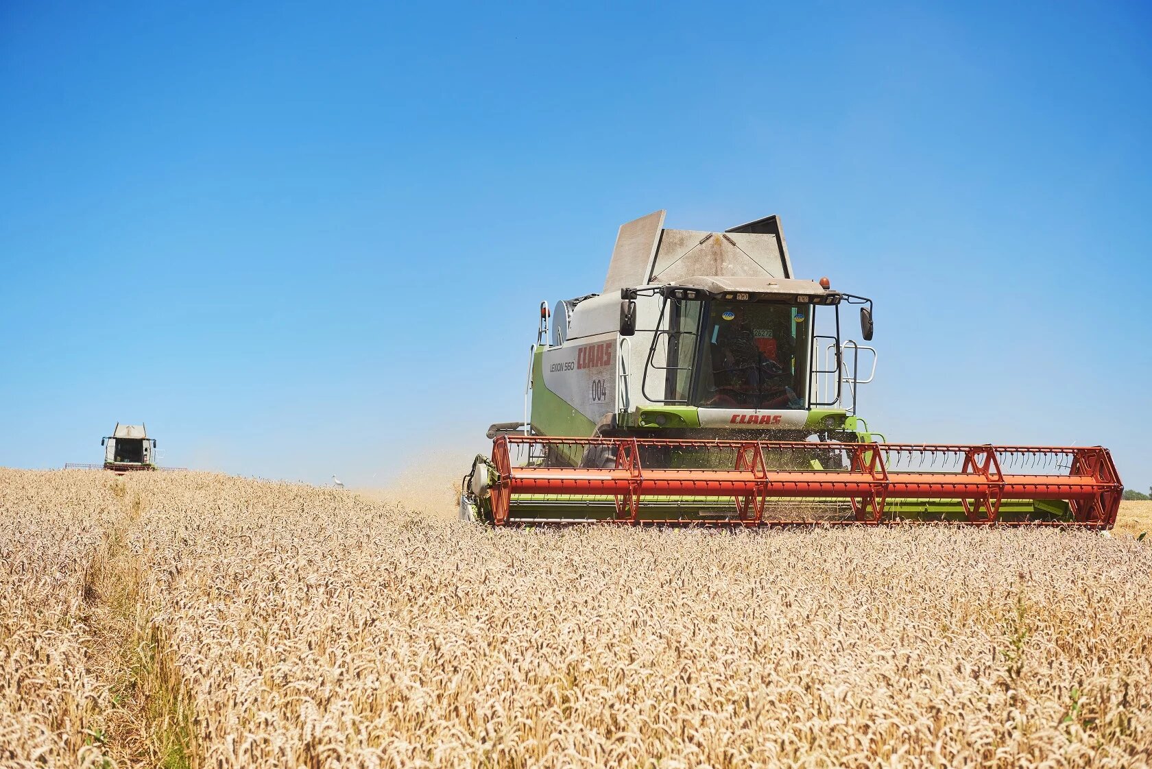 Експерт розповів, що буде з цінами на українське зерно 