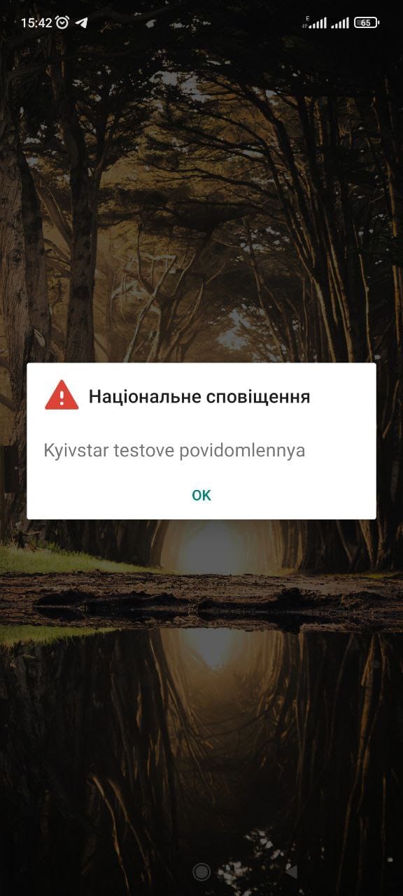 Киевстар, Vodafone и lifecell будут извещать украинцев об угрозе: как поступит сообщение