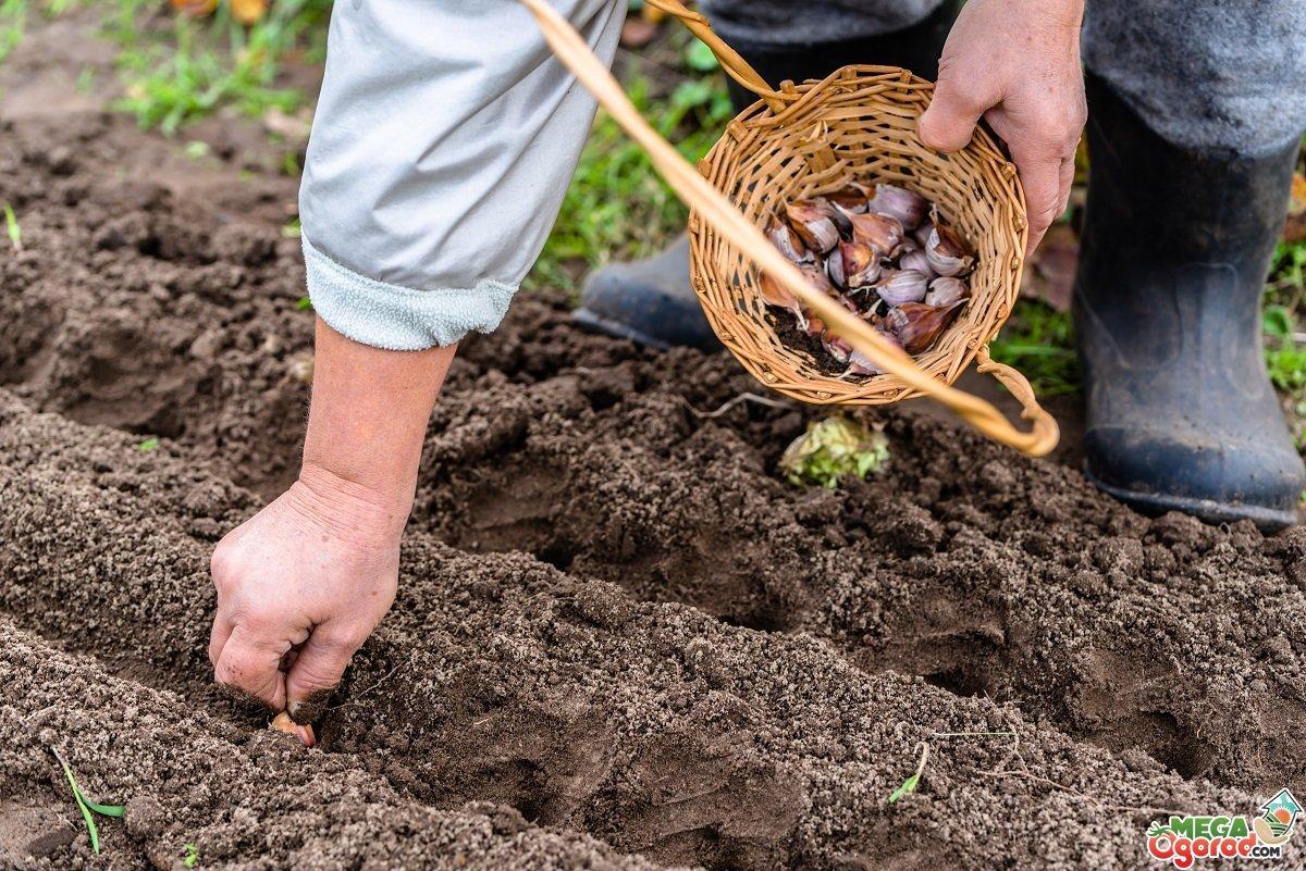 Посадка городів в Україні скасовується: у країні скоротили довгі травневі вихідні