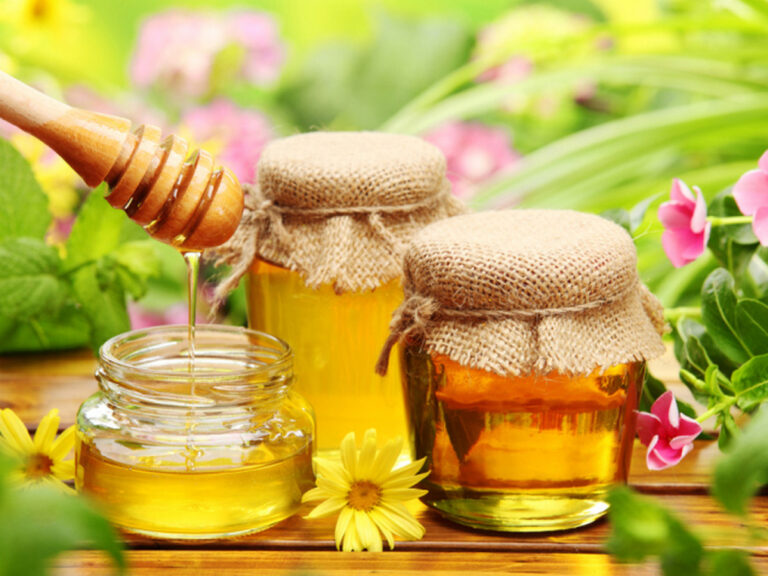 П'ять способів відрізнити натуральний мед від підробки - today.ua