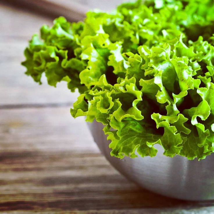 Коли і як садити листовий салат, щоб урожай був соковитим та плідним