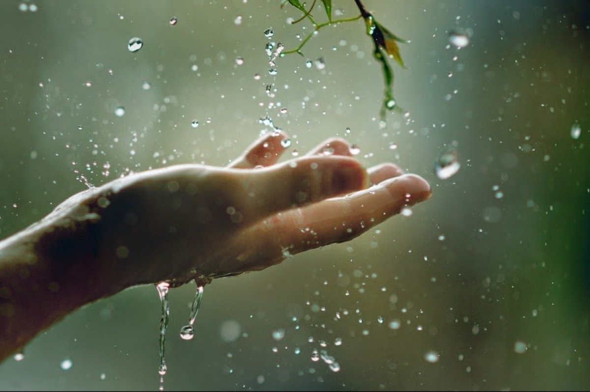 Украину накроют долгожданные дожди, а с ними придет и холод: как изменится погода