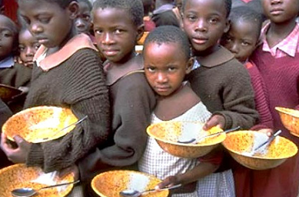 В мире может начаться глобальный голод из-за снижения производства продовольствия: названа причина