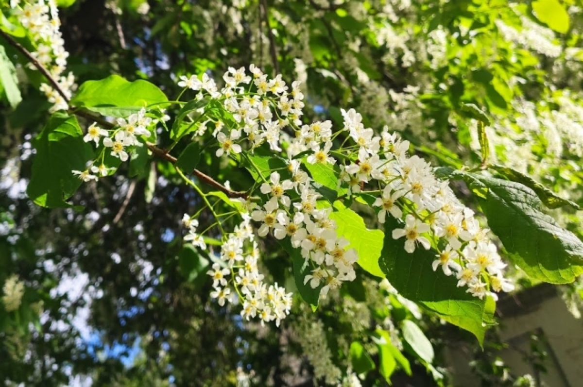 В Украине накануне выходных потеплеет до +28: синоптики рассказали о погоде на конец мая