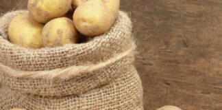 Українцям безкоштовно роздадуть по 30 кг картоплі: як отримати доставку Новою поштою - today.ua