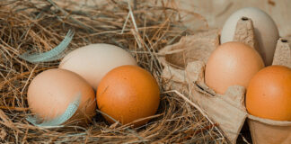 Гострим кінцем вниз: як правильно зберігати яйця в холодильнику, щоб вони довше залишалися свіжими - today.ua