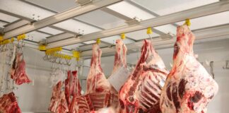 В Україні різко зросли ціни на м'ясо: що у травні подорожчало найбільше - today.ua