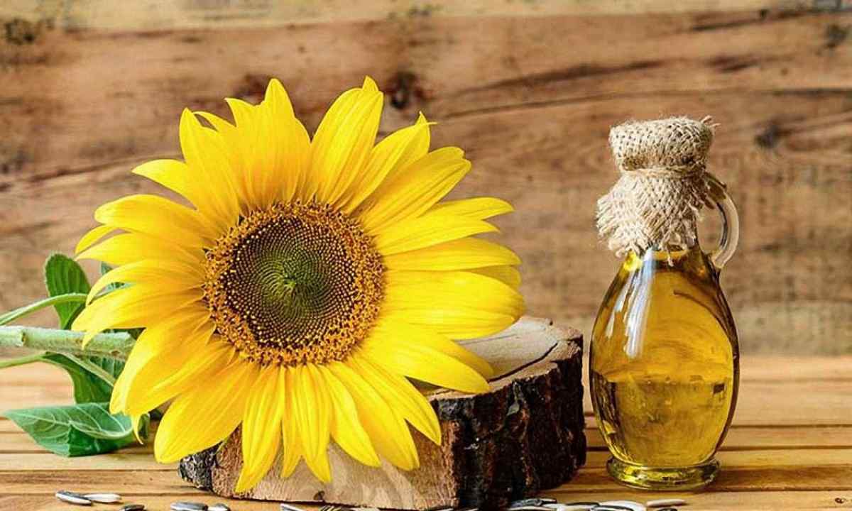 В Украине снизятся цены на подсолнечное масло: эксперты рассказали, что повлияет на стоимость - today.ua