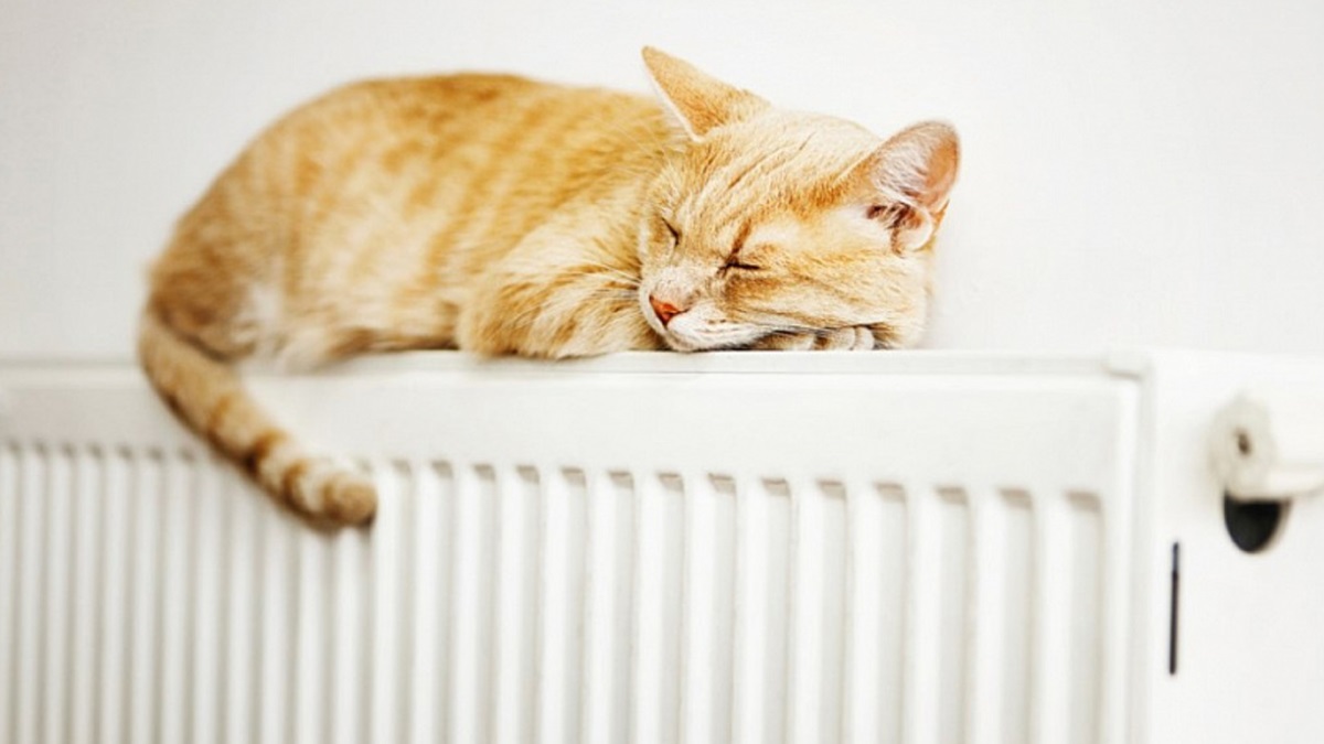 10 тисяч гривень за двокімнатну квартиру: українців попередили про підвищення тарифів на опалення