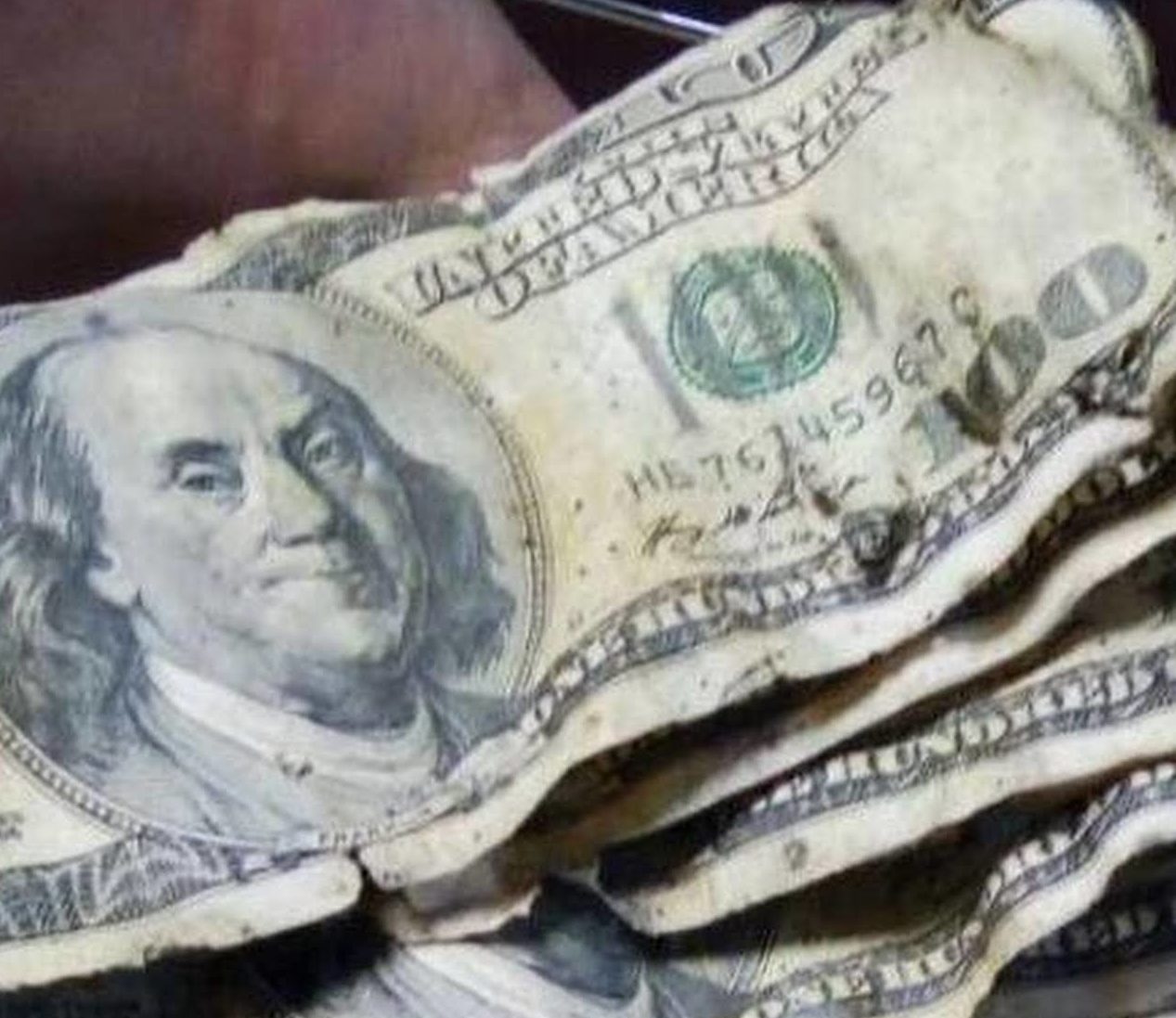 Обмінники не приймають: українцям розповіли, куди можна здати пошкоджені долари та євро - today.ua