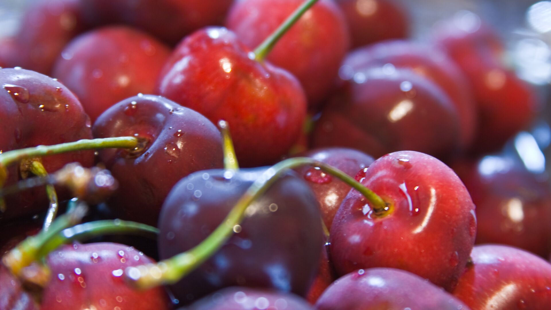 В Украине упали цены на черешню: сколько будут стоить ягоды до конца июня