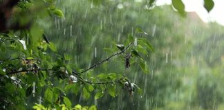 Украину накрыло дождями: как изменится погода в ближайшие дни - today.ua